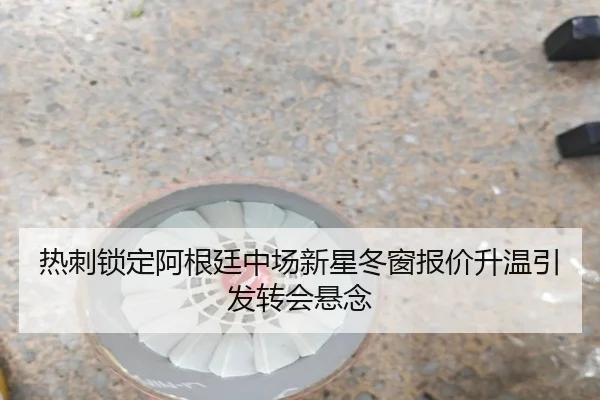 热刺锁定阿根廷中场新星冬窗报价升温引发转会悬念